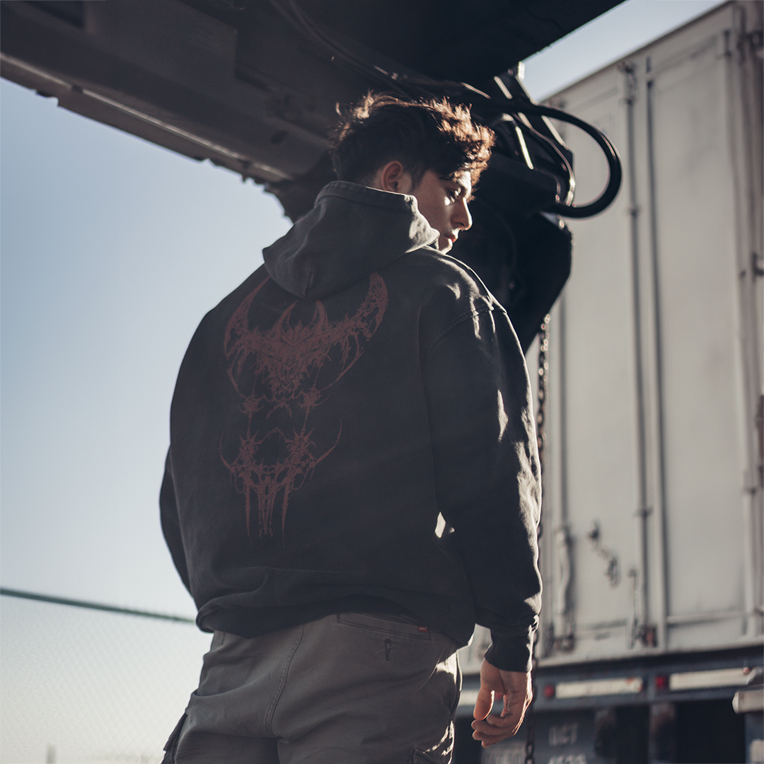 v001 Hoodie