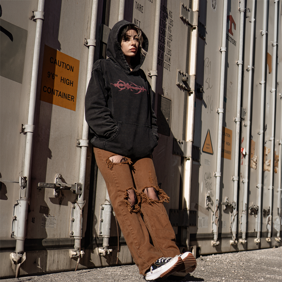 v001 Hoodie